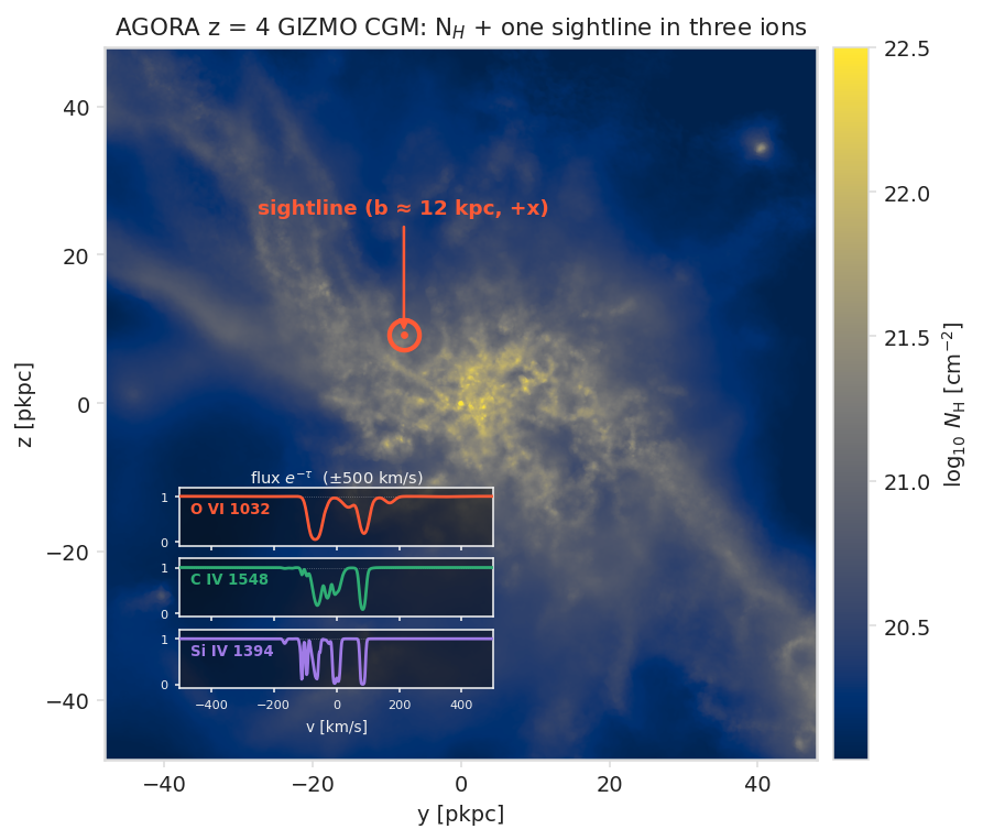 Hydrogen column-density projection of an AGORA galaxy with an off-centre sightline and its O VI, C IV, and Si IV absorption spectra