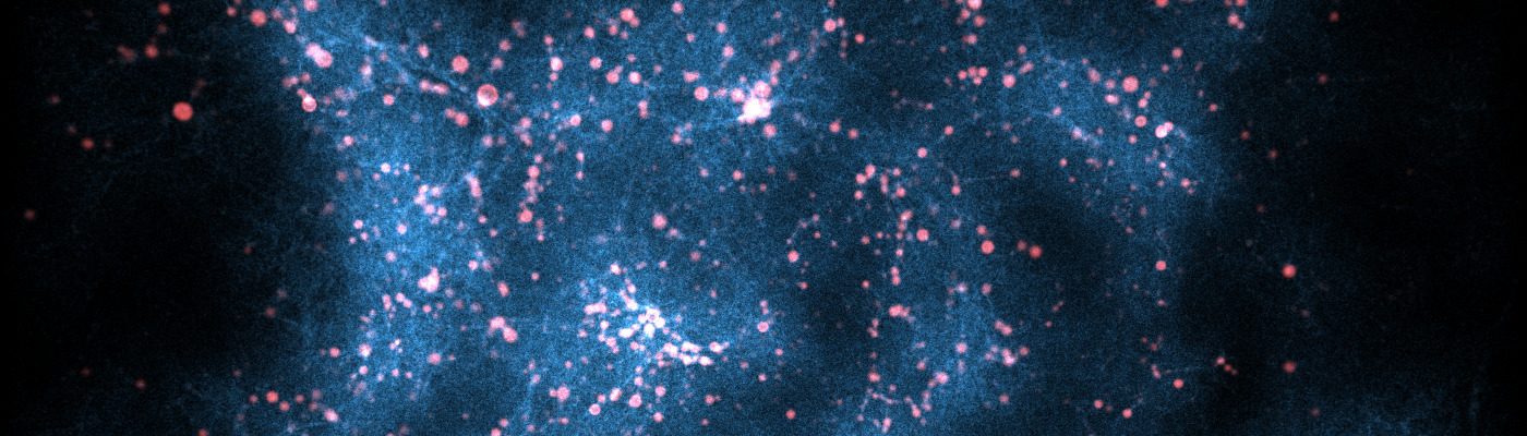 Impacts of the Large Scale Structure on Detected Lyman Alpha Emitters